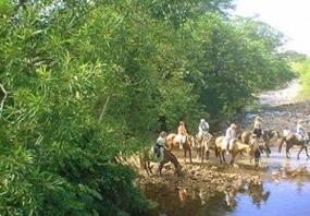 Trilhas à cavalo.