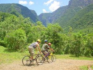 Trilhas de bicicletas.